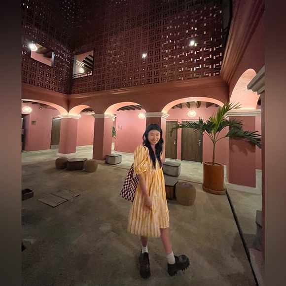 Mr. Larkin Olivia Dress in Sunshine Stripe - Picture 3 of 9